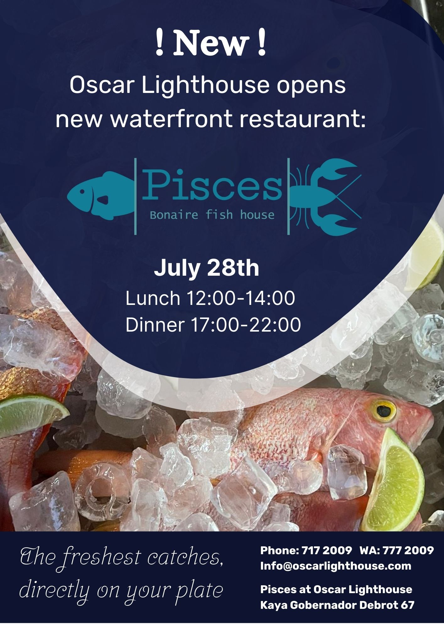 Pisces flyer